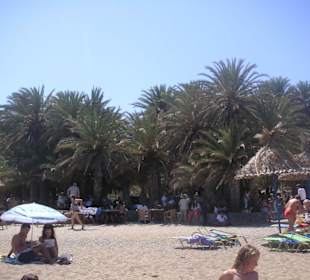 Palmenstrand - einfach traumhaft