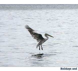 Holidays and More - Psakoudia