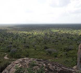 Nationalpark Kenia