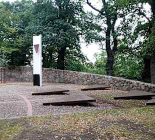 Inselrundfahrt Insel Poel