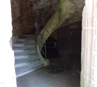 Schloss Heidelberg und Umgebung