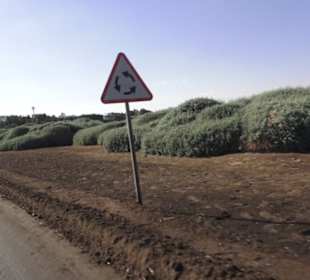 Stadtrundgang El Gouna