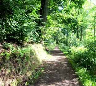 Wandern Schenkenzell