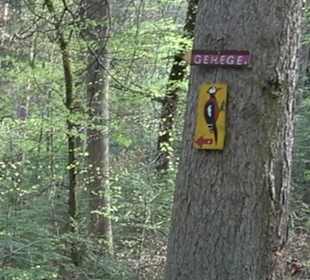 Walderlebnisweg Rottenburg