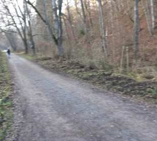 Schönbuch Schaichtal