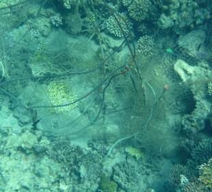 Versunkenes Fischernetz