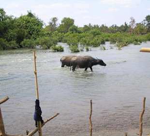 Impressionen im viertausend Inselgebiet