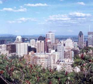 Königlicher Ausblick