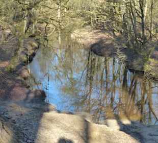 Abwechslungsreicher Weg