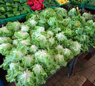 Rundgang durch die Markthalle