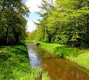 Spaziergang durch den Bremer Stadtwald