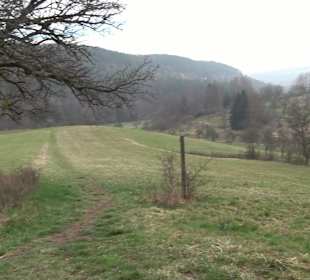 Unterjesinger Wengertwegle