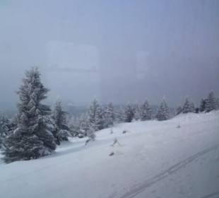 Die Fahrt auf den Brocken