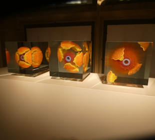 Besichtigung Kunstsammlungen der Veste Coburg