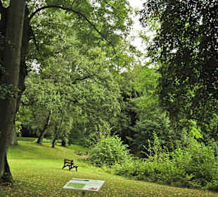 Кладбище Ольсдорф, Гамбург, 16 сентября 2013 года