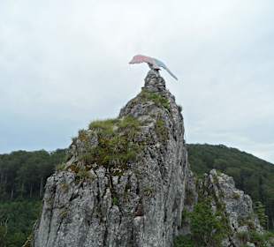 Der Hübichenstein mit Adler
