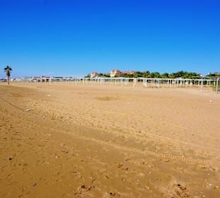 Aufgenommen am 29.11.2013