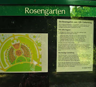 Кладбище Ольсдорф, Гамбург, 16 сентября 2013 года