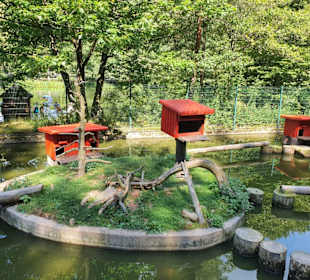 Kurpfalz-Park - Tierpark