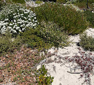 Flinders Chase National Park