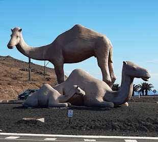 Wandern Puerto Calero