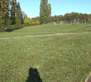 Botanischer Garten