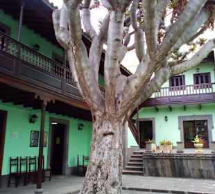 Sehenswürdigkeiten in Arucas, bitte zuordnen Danke