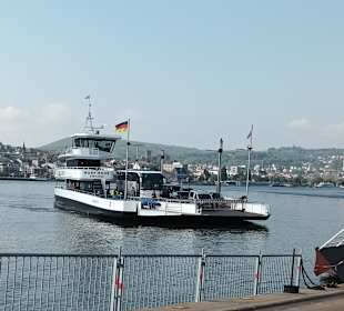 Wandern Rüdesheim am Rhein