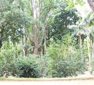 Park Terra Nostra