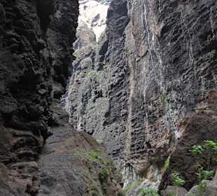 Masca-Schlucht (Wanderung)