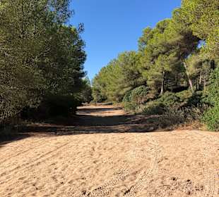 Wandern Can Picafort