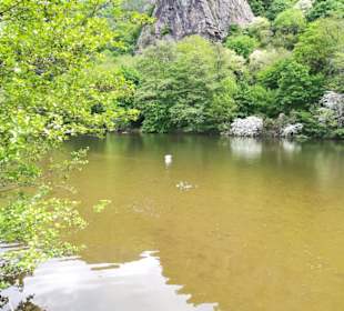 Rheingrafenstein
