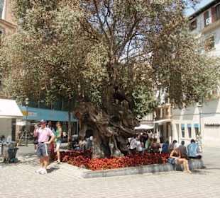 Bummeln durch Palma