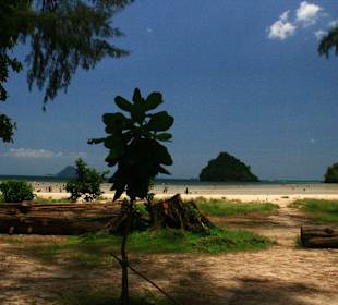 Strand Nopharat Thara