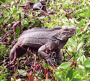 Aqua Park Santa Domingo