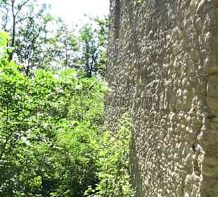 Ruine Hohenmelchingen