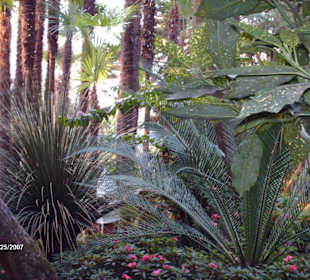 Botanischer Garten Gardone
