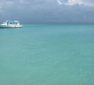 Strand/Wasser Bacardi-Insel