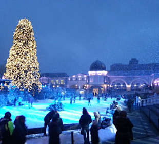 Wintertraumlandschaft