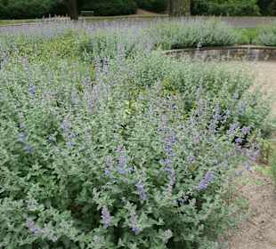 Im Victoria-Park in Berlin-Kreuzberg