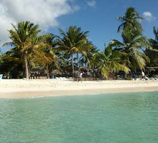 Auf dem Ausflug nach Saona - Palmiya Beach