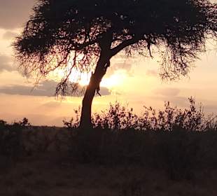 Tsavo West Nationalpark