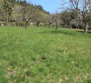 Premiumspazierwanderweg - Hochgehhütet