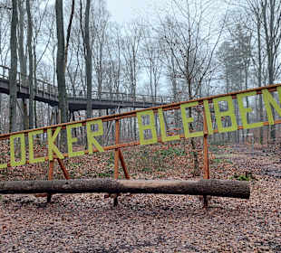 Baumwipfelpfad Saarschleife