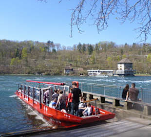 Rheinfall-Schifffahrt