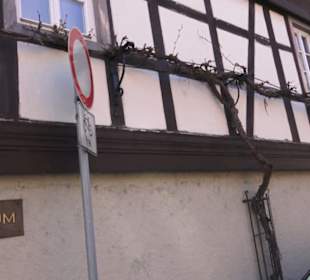 Museum unterm Trifels
