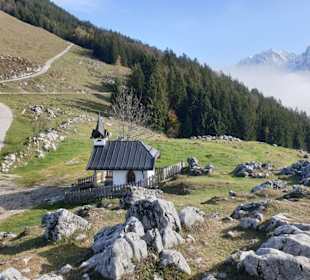 Natur pur