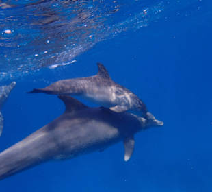 Weil es so schön ist, noch ein Bild