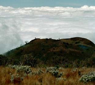 Aufstieg zum Kilimanjaro