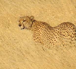 Tsavo West Nationalpark